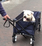 Sam in de bolderwagen