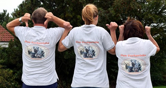 Nieuwe poloshirts voor Glen-Footprints